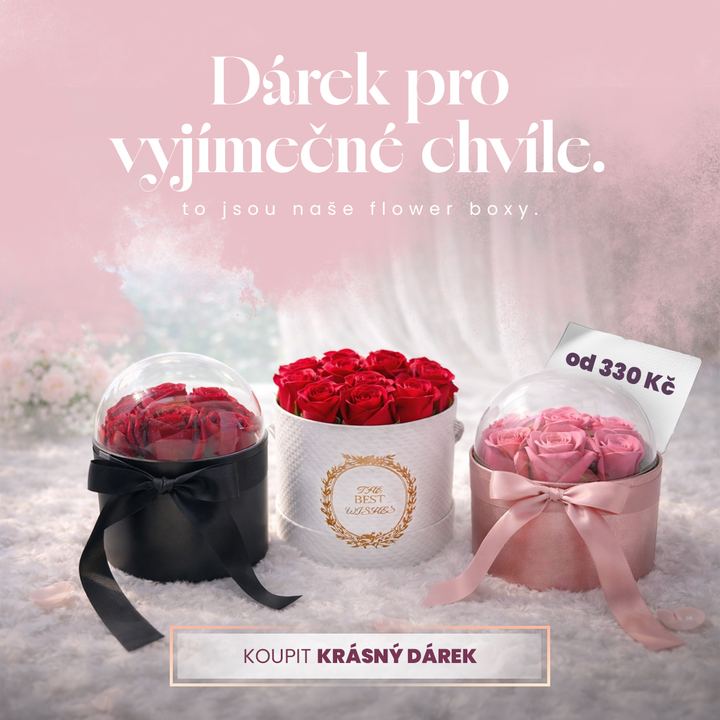 MyDeko – Flower boxes from 330 CZK