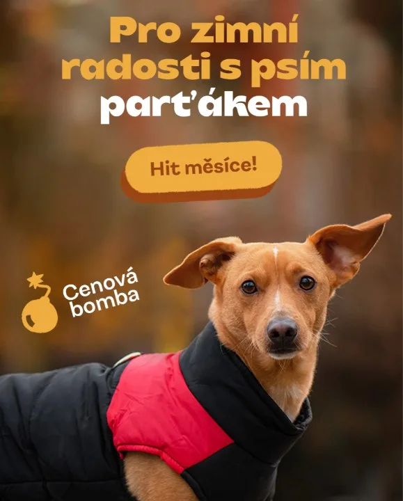Vše pro pejska – Winter jacket, portrait