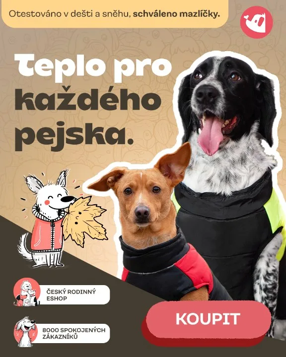 Vše pro pejska – Warmth for every dog, portrait