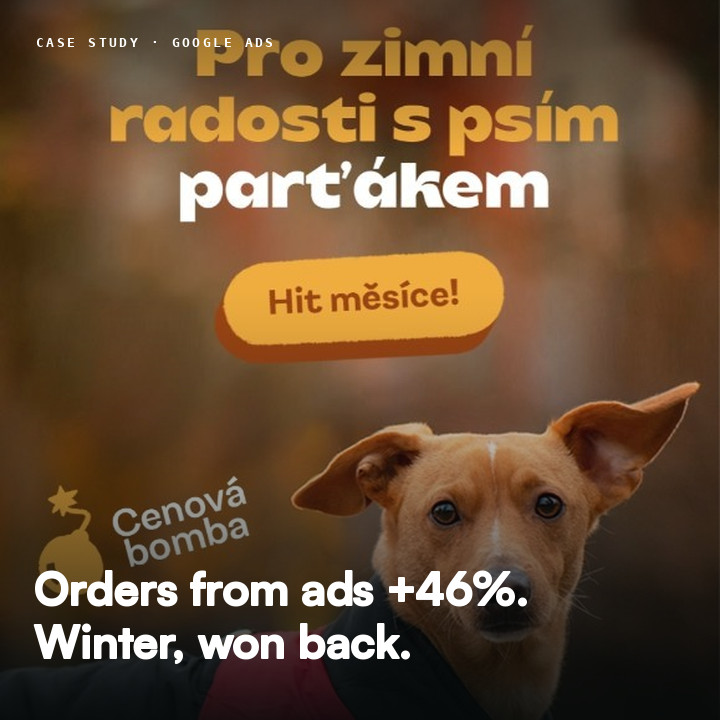 Vše pro pejska winter case study cover: our winter dog clothes creative