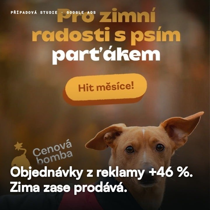 Obálka zimní případové studie Vše pro pejska