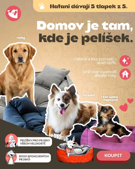 Vše pro pejska – Dog beds, portrait