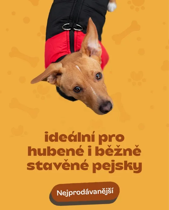 Vše pro pejska – Best-selling jacket, portrait