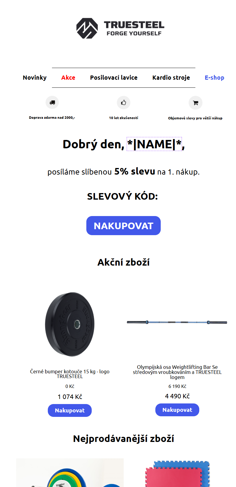 Původní generický newsletter TrueSteel bez jasné nabídky