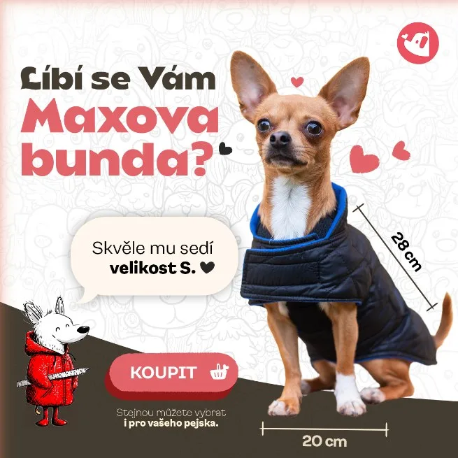 Vše pro pejska – Max’s jacket, square