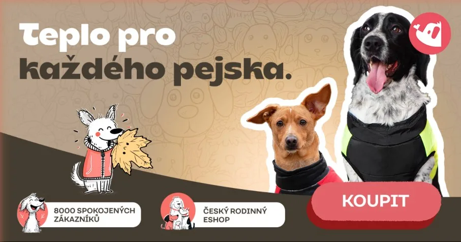 Naše kreativa: „Teplo pro každého psa“
